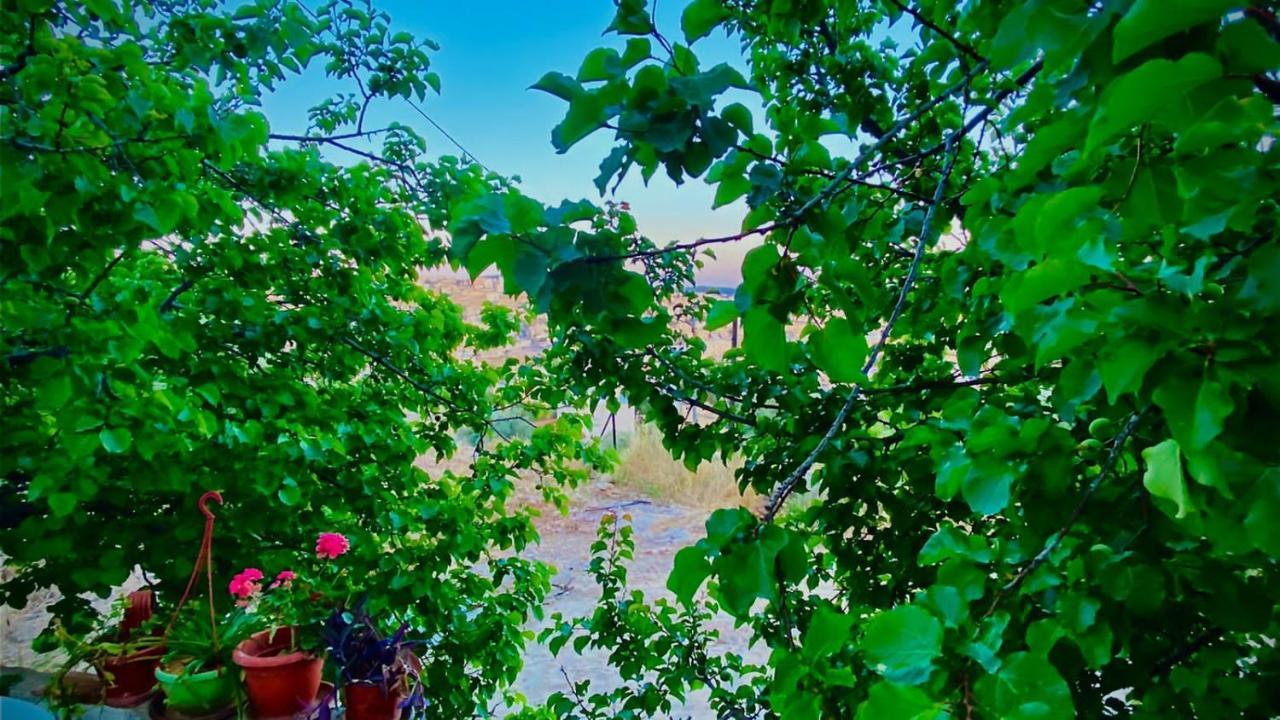 Jerash Canopy Jarash Bagian luar foto